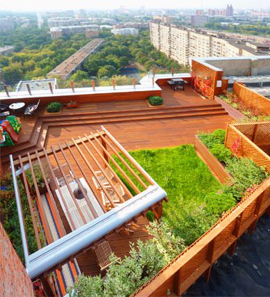 Зеленые крыши